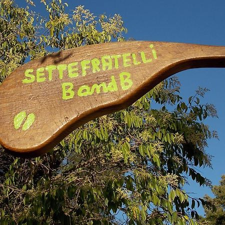San Gregorio  B&B Sette Fratelli المظهر الخارجي الصورة