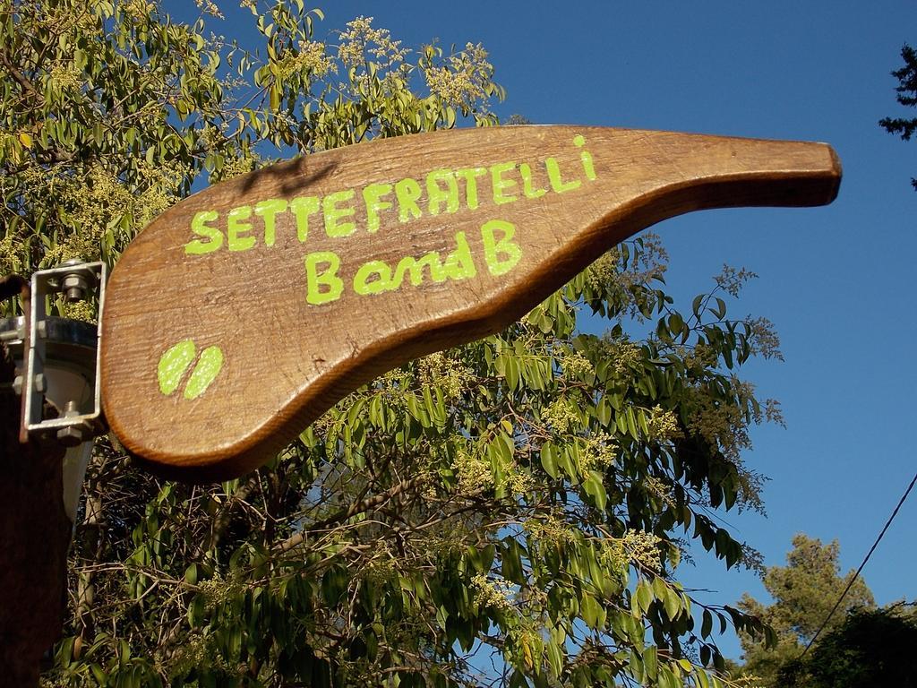 San Gregorio  B&B Sette Fratelli المظهر الخارجي الصورة