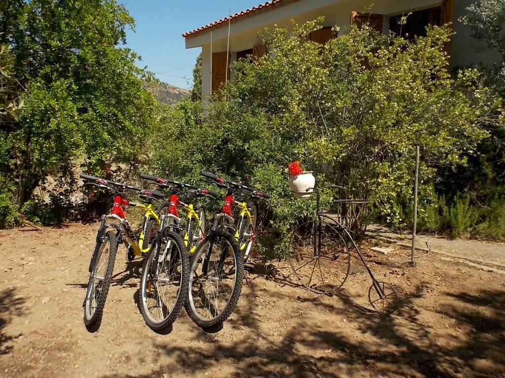 San Gregorio  B&B Sette Fratelli المظهر الخارجي الصورة