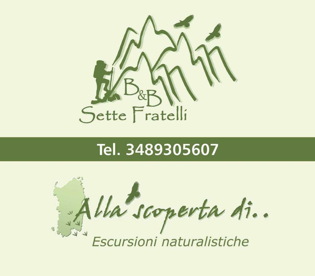 San Gregorio  B&B Sette Fratelli المظهر الخارجي الصورة